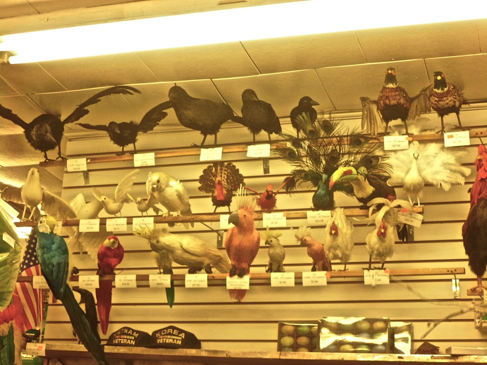 Jeremiah's Vanishing New York Bill's Flower Market