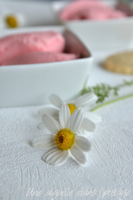 Glace à la fraise et au yaourt à la grecque 