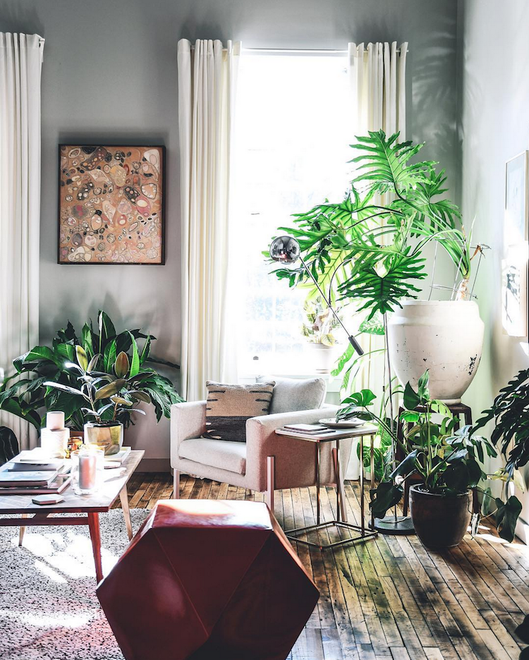 Decorate with plants