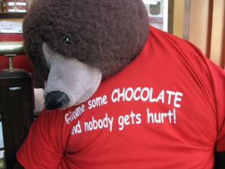 Gimme some chocolate and nobody gets hurt! The Desserts With Benefits Blog