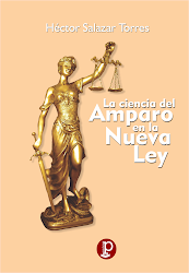 La ciencia del Amparo en la Nueva Ley