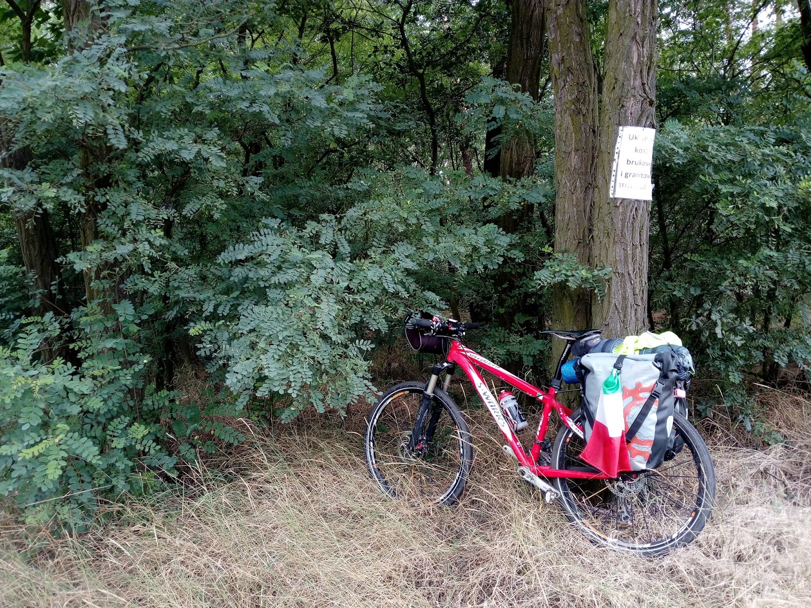 Una volpe a pedali. viaggi in bici: tredicesima tappa: da olesnica ...