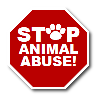 STOP AO ABUSO DE ANIMAIS