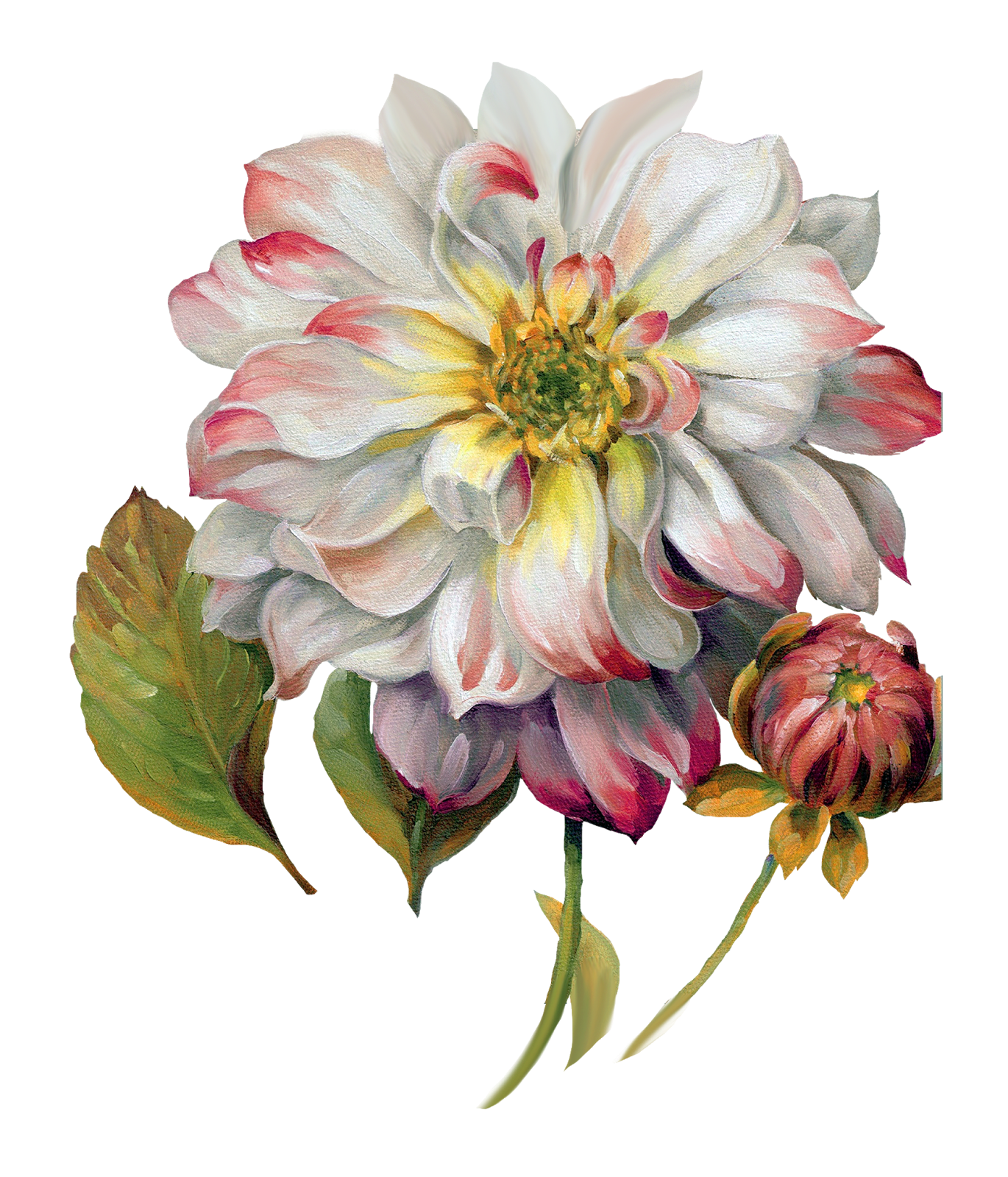 Flower Painting_By Lisa Audit_PNG_(69 item) | Joy Design ...