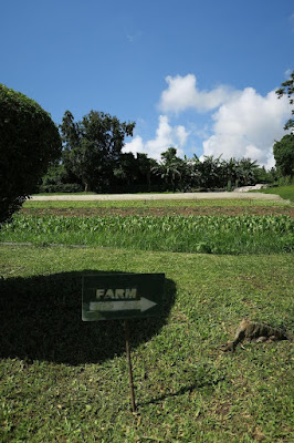 farm tour tagaytay
