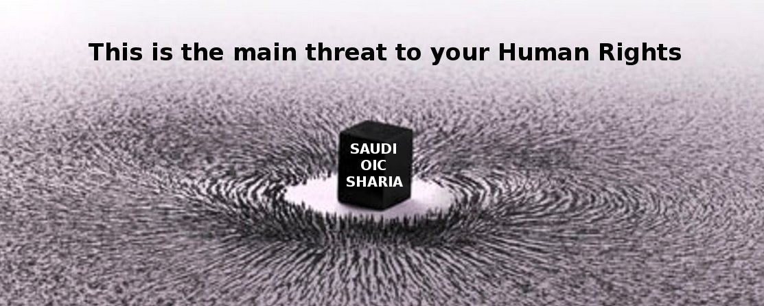 This (via Saudi sharia finance) is the main threat to your Human Rights