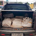 Polícia apreende 300 kg de droga em divisa entre Paraguai e Feira de Santana