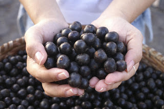 Heaven Can Wait - Rejuvenate and Restore Health with Maqui Berry