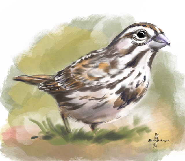 Song Sparrow bird painting by Artmagenta