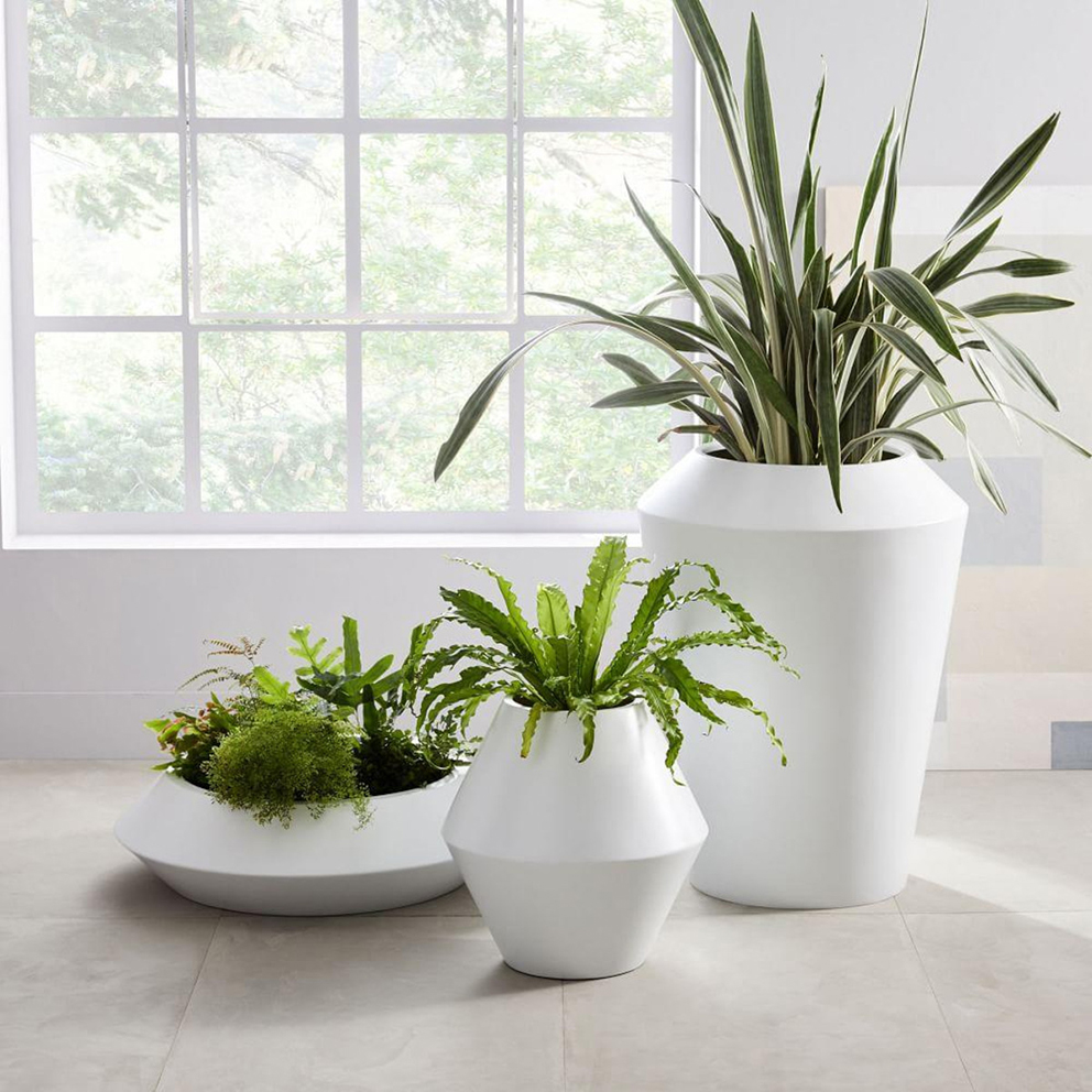 The Best Indoor Planters French For Pineapple Blog The Best Indoor Planters French For Pineapple Blog