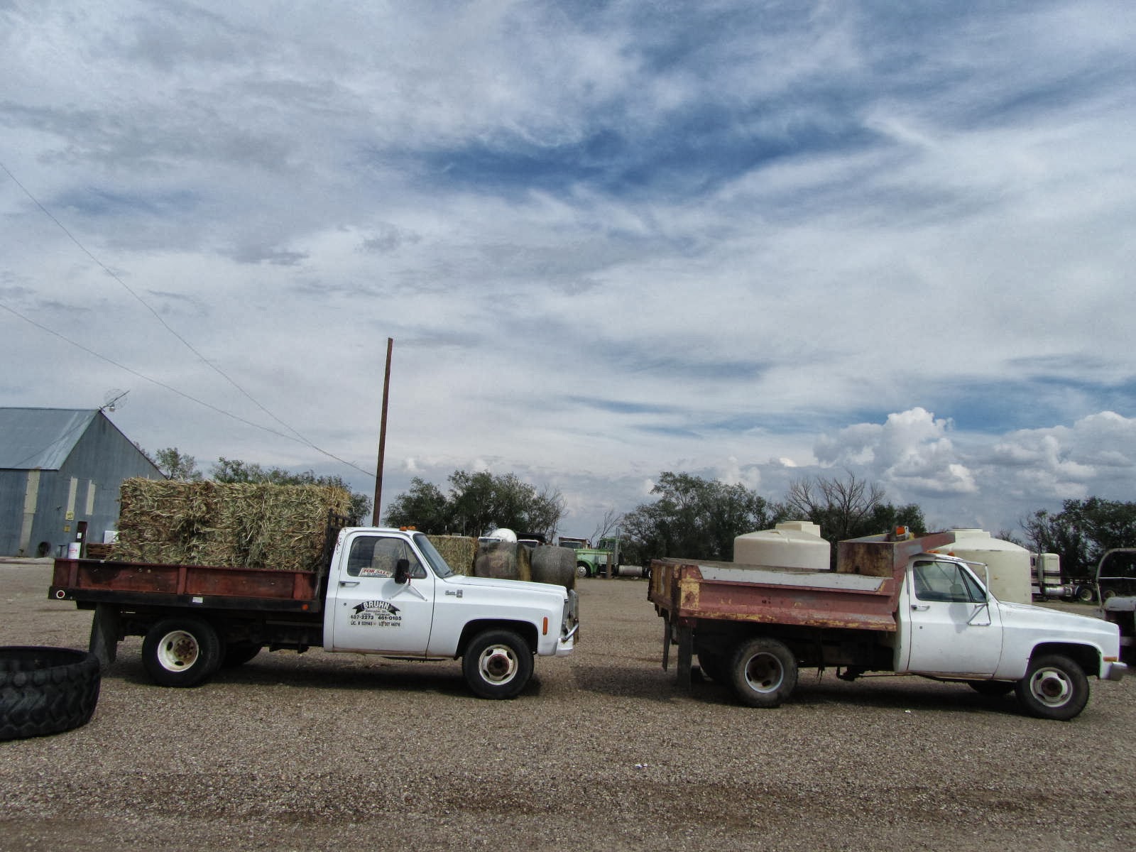 autoliterate Logan, New Mexico