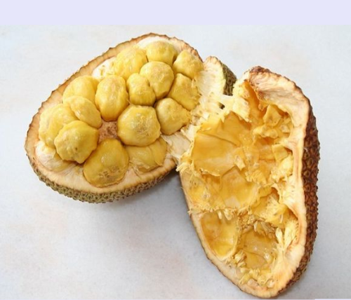 Erek Erek Buah Cempedak 2d 3d 4d Menurut Buku Mimpi Erek Erek Erek Erek Buah Cempedak 2d 3d 4d Menurut Buku Mimpi Erek Erek