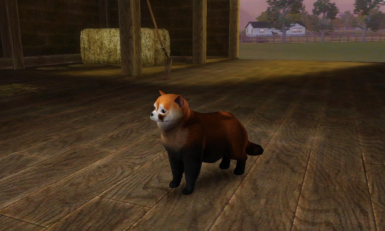 rach sims 3: RED PANDA PET sims3