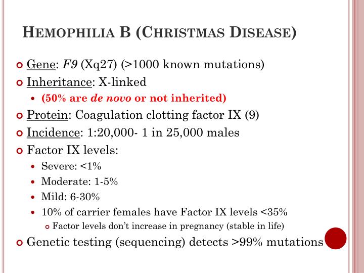 EXAMS AND ME Christmas Factor