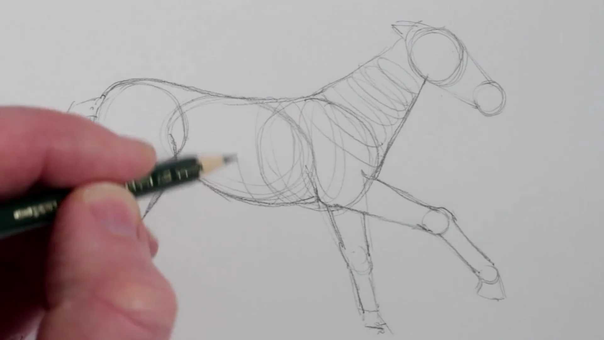رسم حصان بالرصاص