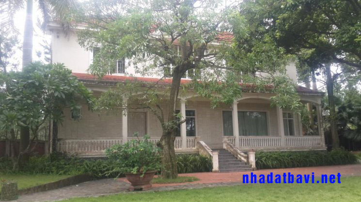 Đất làm nhà vườn nghỉ dưỡng Ba Vì Hà Nội- Giá chỉ 180 triệu/sào Đất làm nhà vườn nghỉ dưỡng Ba Vì Hà Nội- Giá chỉ 180 triệu/sào