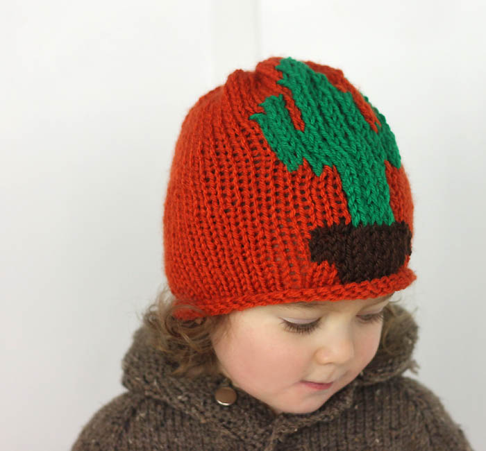 Cactus Baby Hat Free Knitting Pattern - Gina Michele