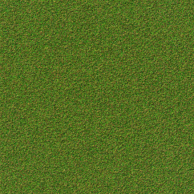 Free Seamless Textures: Tileable patchy grass