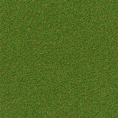 Texture patchy grass. Fully tileable