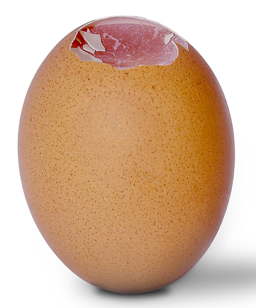 Apel do maja - jajko z pękniętą skorupką