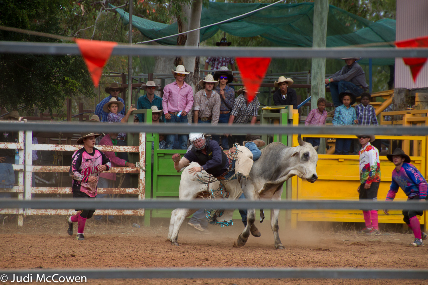 JUstDreamInparadise: Laura Campdraft, Races and Rodeo
