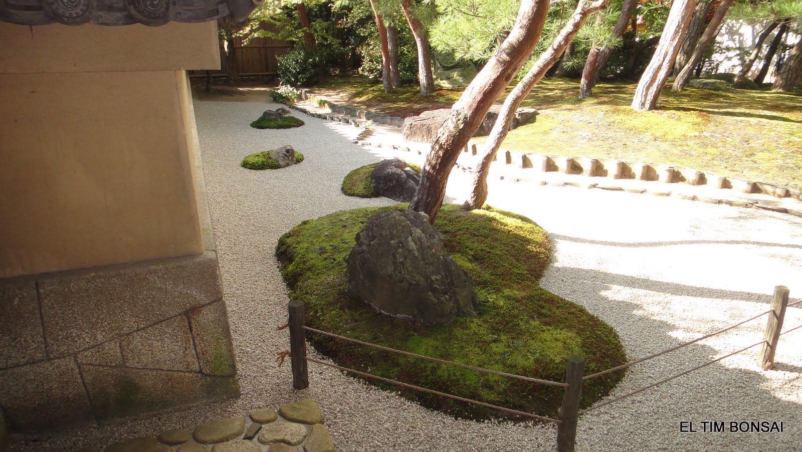 El Tim Bonsai: 8/01/12 - 15/01/12