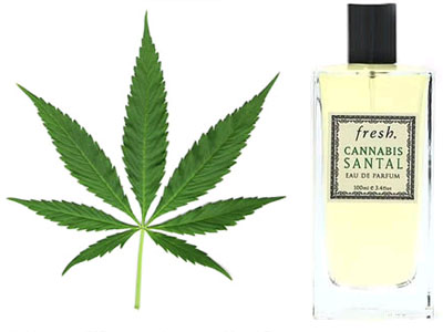 zona-1000 Aroma Parfum Paling Aneh di Dunia fakta aneh realita unik dunia
