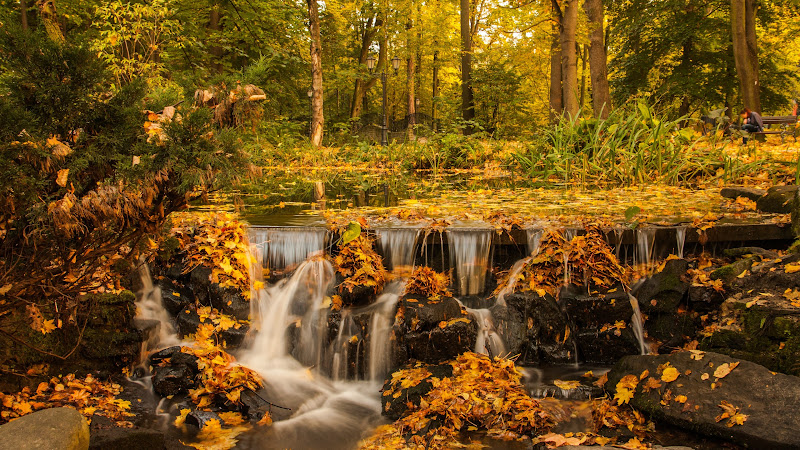 Surreal Fall Landscape