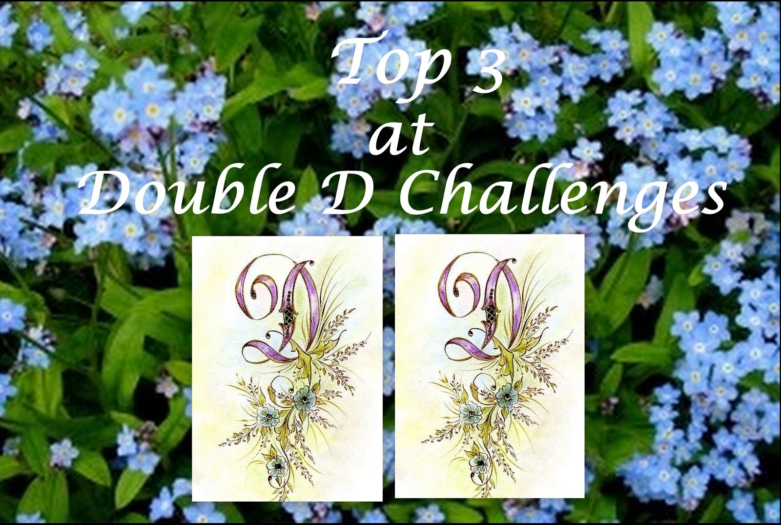 Double D Challenge Top Three Pick.