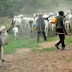 Suspected Fulani herdsmen storm Mokwa village in Niger State, kill 21 people