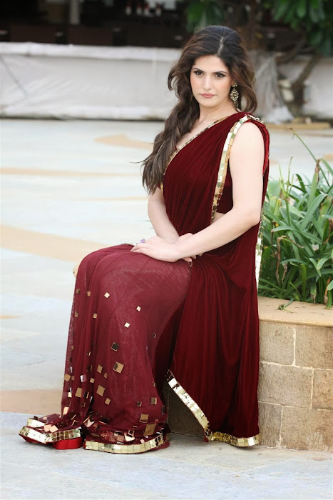 zarine khan glamorous in saree unseen pics