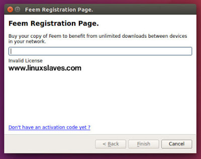 Feem License window in Ubuntu Linux