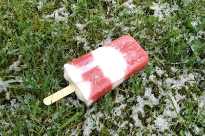 Rhabarber-Erdbeer-Quark-Stieleis Rhabarber-Erdbeer-Quark-Stieleis