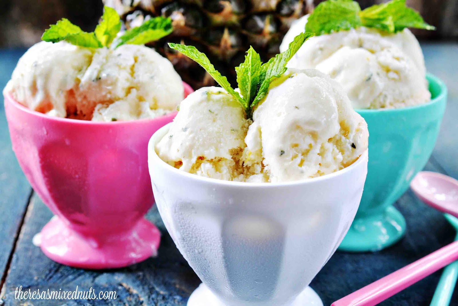 Theresa's Mixed Nuts Frozen Fruit Yogurt