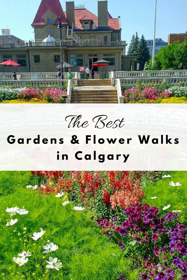 discover calgary's best gardens and flower walks - play outside guide