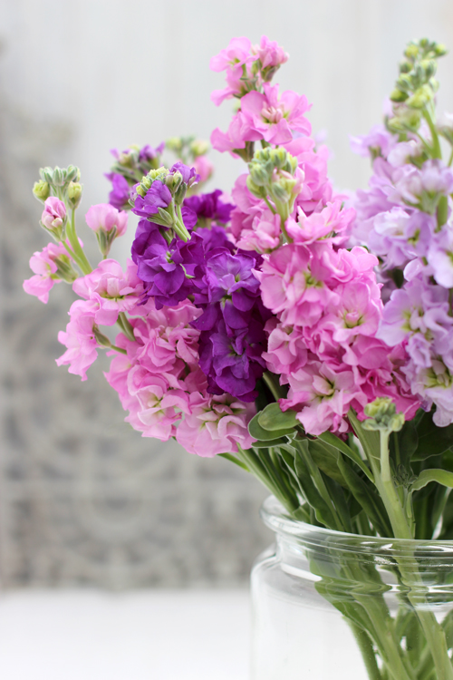 ...OF SPRING AND SUMMER... Creative with Flowers 5 Pink and Purple