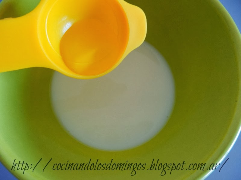 crema agria o sour cream