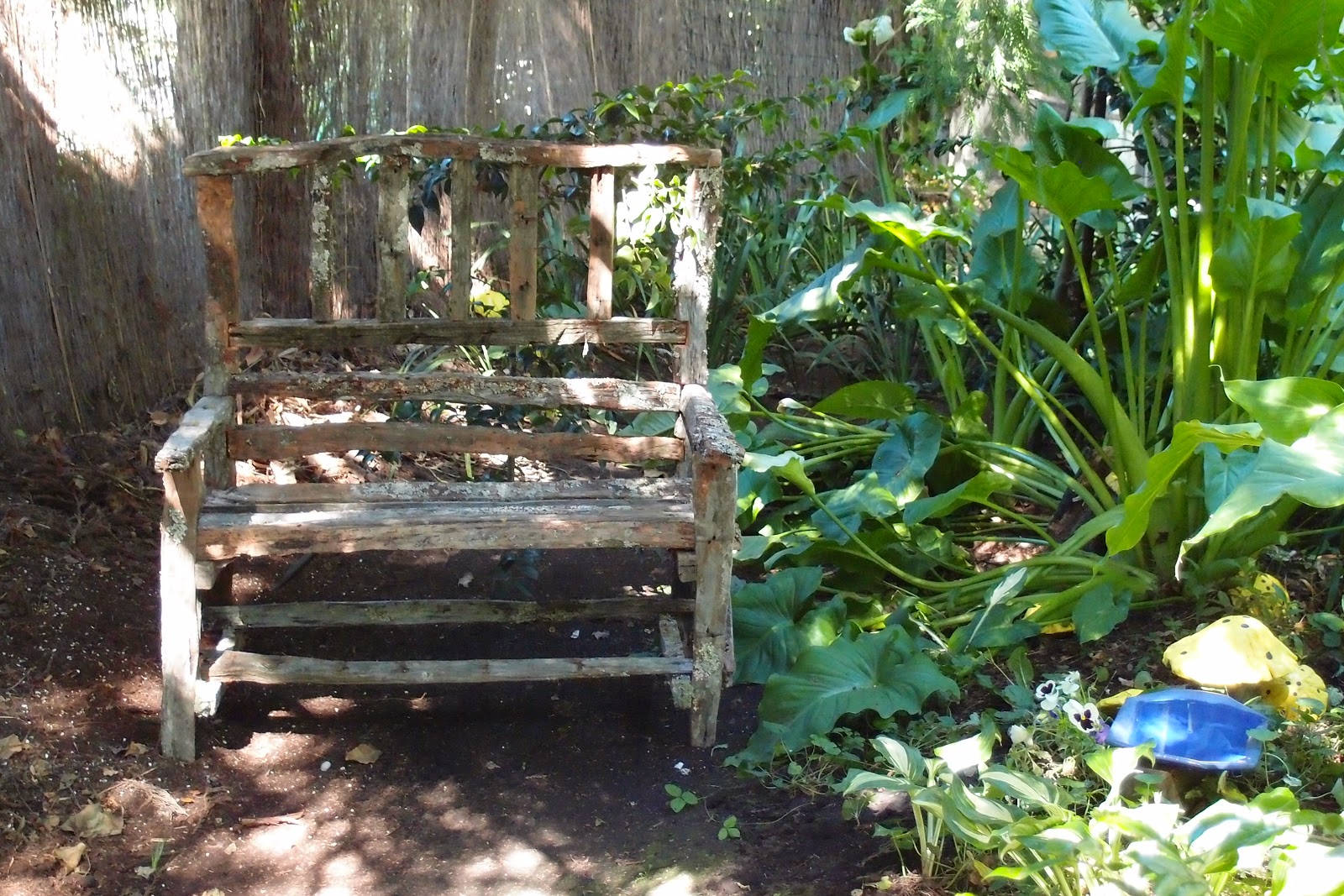 aaronm Rustic Totara fence batten outdoor chairs