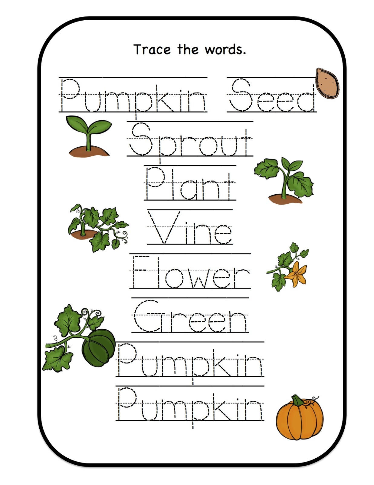 pumpkin-life-cycle-printable-preschool-printables