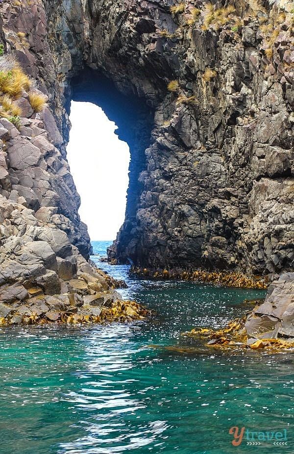 Explore sea caves and rugged coastline on a Bruny Island Cruise in Tasmania Explore sea caves and rugged coastline on a Bruny Island Cruise in Tasmania