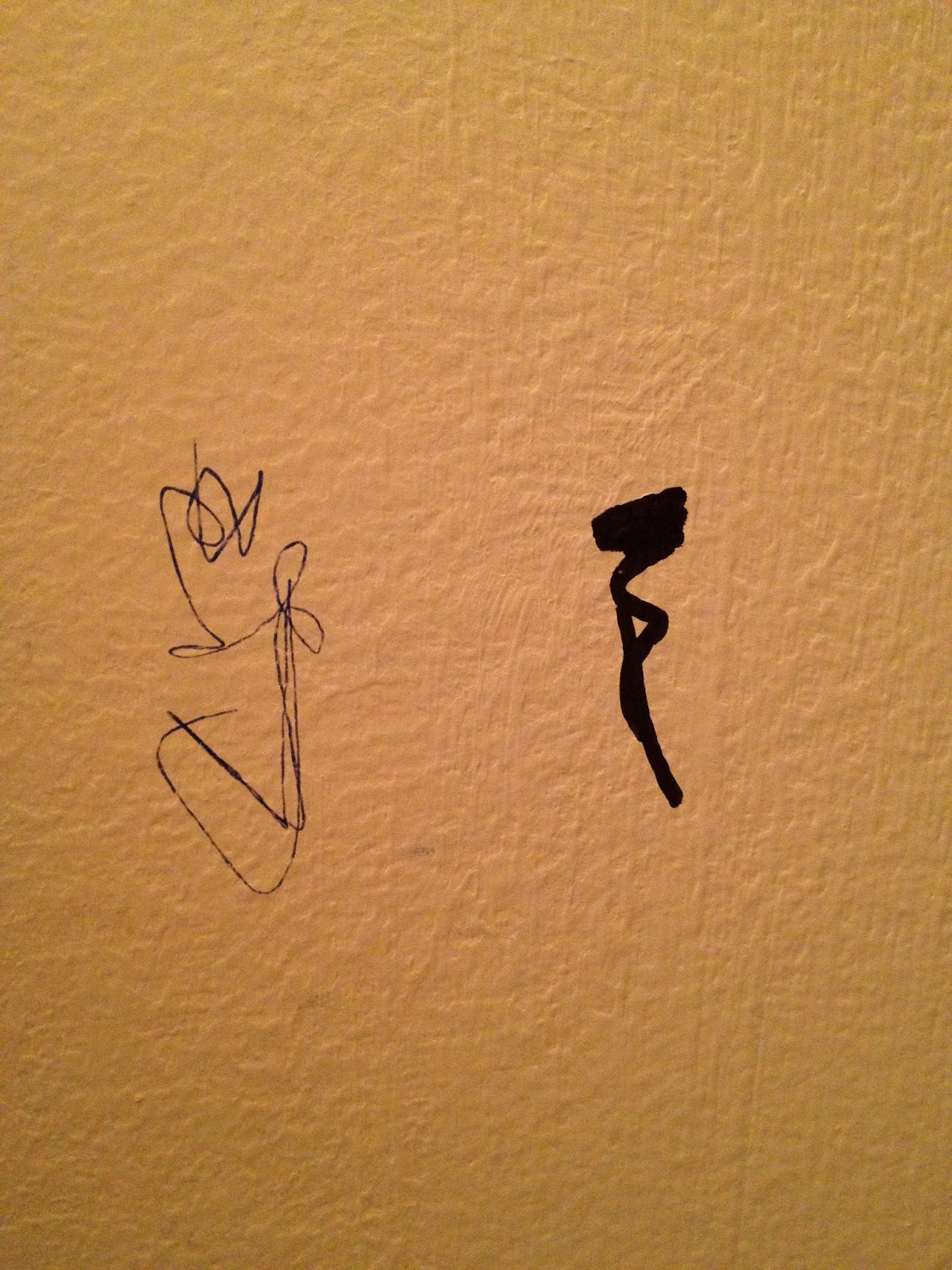 The DIY Guinea Pig Getting Permanent Marker Off Your Wall