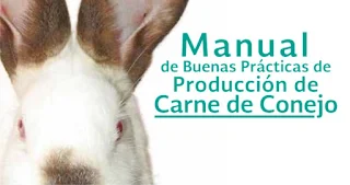 manual-producion-carne-conejos-pdf-descargar-baixar-download