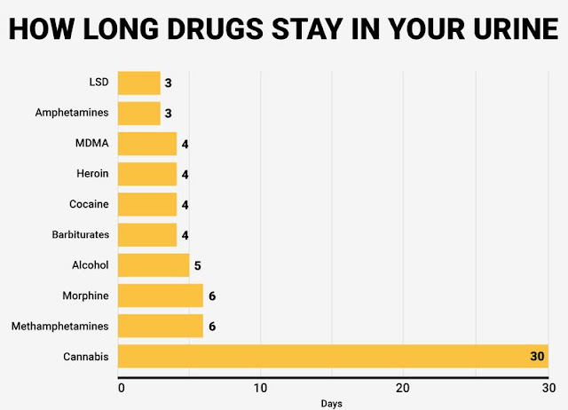 How long drugs stay in your urine How long drugs stay in your urine