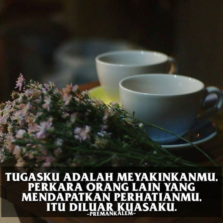 Gambar Meme Kata Kata Bijak Preman Kalem