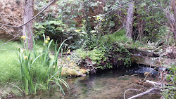 SENDERO DEL BOHILGUES Y DEL VAL (RINCÓN DE ADEMUZ)