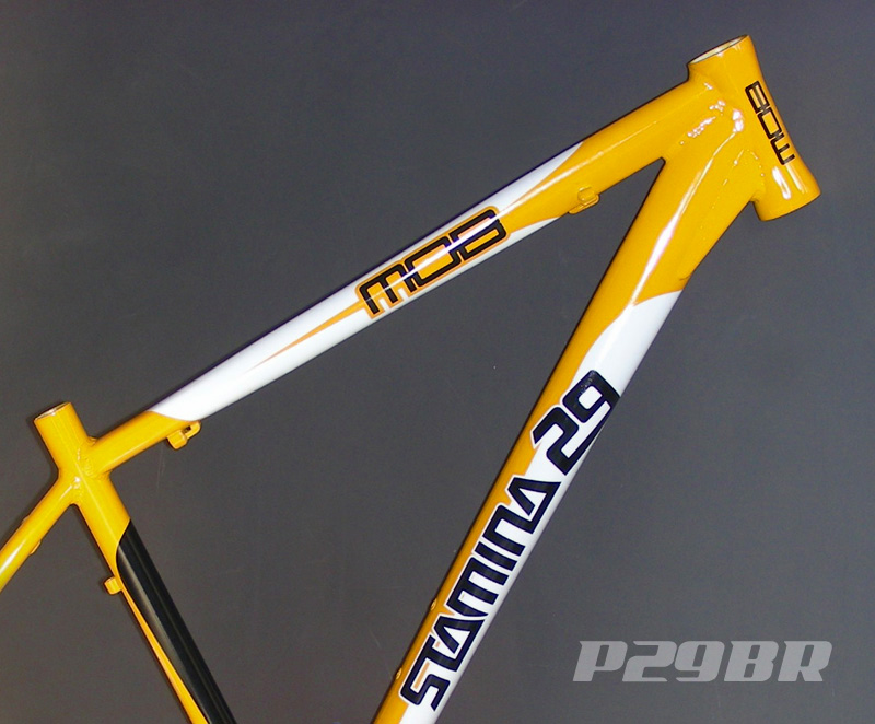 mob 29er frame