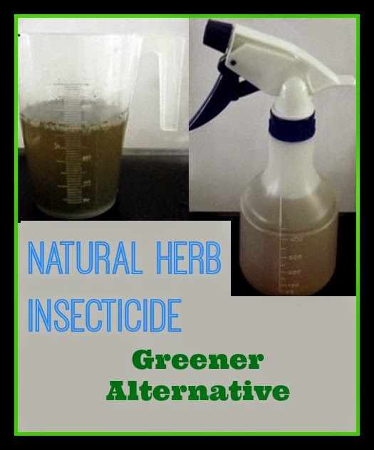 Natural Bug Killer by Fair Dinkum Seeds Natural Bug Killer Recipe by Fair Dinkum Seeds