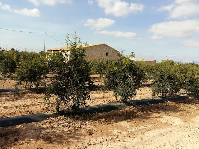 Ruta en bici Elche - Santa Pola Ruta en bici Elche - Santa Pola