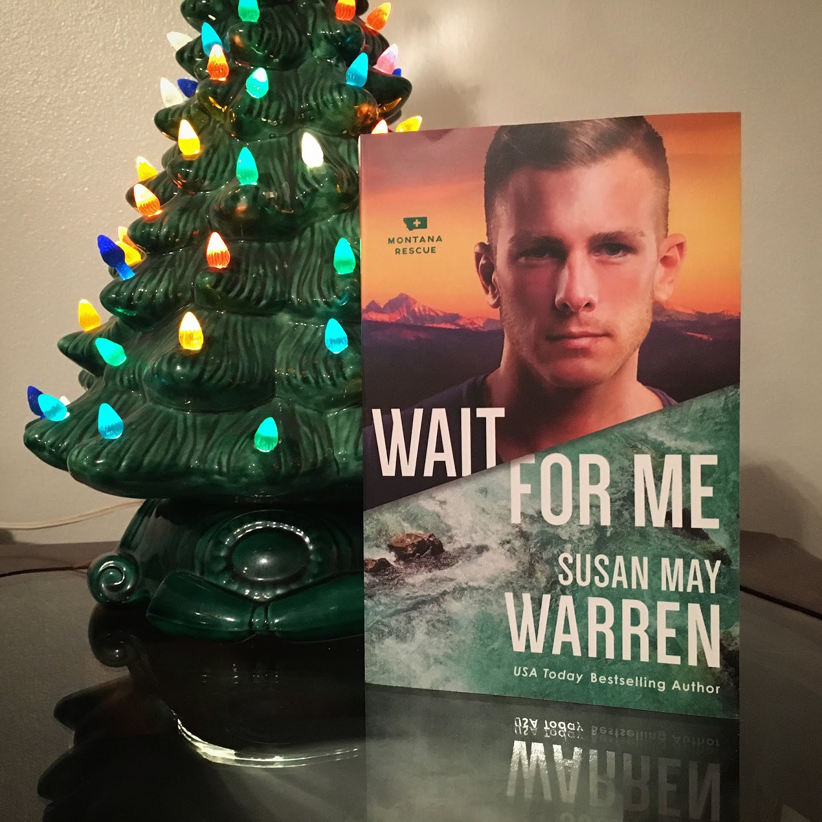 About the Book: