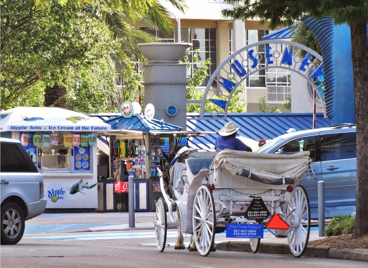 Houston in Pics Horsedrawn carriage rides in Downtown Houston Theat